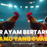 Mengenal Togel: Sejarah, Cara Bermain, dan Strategi Menang