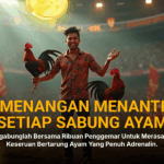 Mengenal Ayam Bangkok: Raja Turnamen Sabung Ayam Online SV388