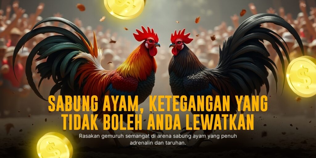Mengenal Jenis Ayam Bangkok dalam Sabung Ayam SV388